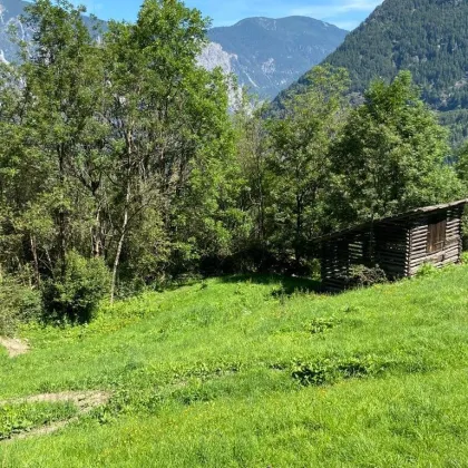 Wiese im vorderen Ötztal - Bild 3