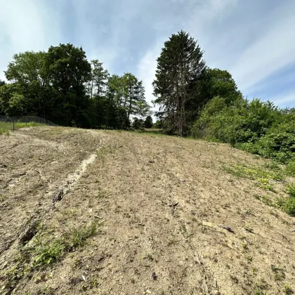 Exklusives Baugrundstück in Kierling | Potenzial zwei Villen | 2.170 m² Grundstücksgröße - Bild 3