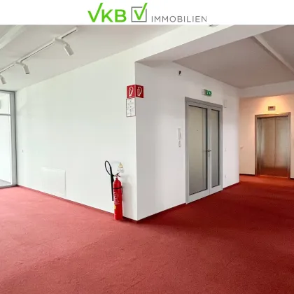 Exklusiv: Klimatisiertes Penthouse-Büro mit Dachterrasse - Bild 2