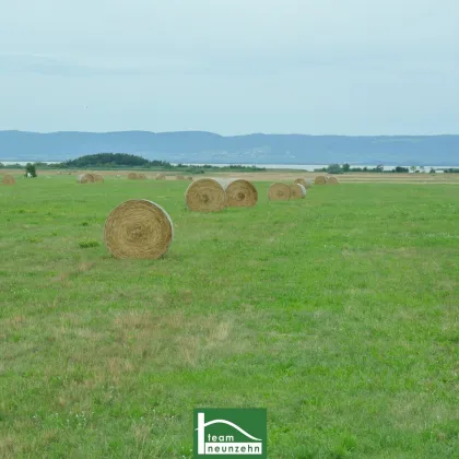 MODERNES, cooles Design, tolle Ausstattung - DURCHDACHTE Grundrisse für Ihren Wohntraum– PANNONIA SEEBLICK- immer Urlaubsfeeling! - Bild 2