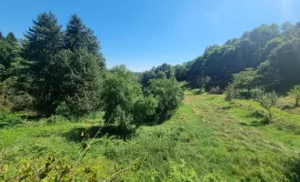 Villa in absoluter Ruhelage mit Historie und kleiner Landwirtschaft in Graz (Pferdehaltung möglich)