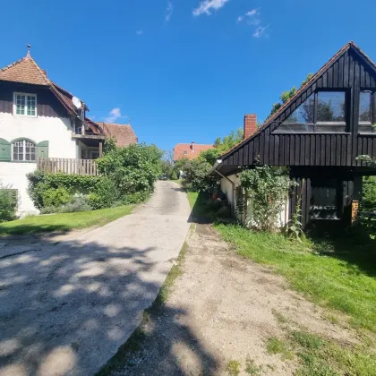 Villa in absoluter Ruhelage mit Historie und kleiner Landwirtschaft in Graz (Pferdehaltung möglich) - Bild 3