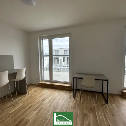 SHORT TERM RENTAL - EXCLUSIVE MICRO APARTMENTS NEAR THE LAAER WALD – FIRST-CLASS EQUIPMENT - Bild 3