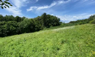 Idyllisches Freiland-Grundstück mit Waldanteil