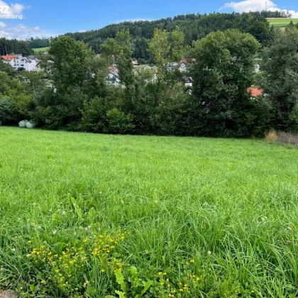 Schöner Baugrund mit Fernblick - Bild 3