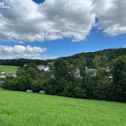 Schöner Baugrund mit Fernblick - Bild 2