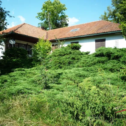 RUHELAGE - Renovierungsbedürftiges Einfamilienhaus mit Aussicht in Semriach! - Bild 2