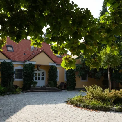 Equestrian Paradise - Dream Villa - no neighbours - 8 hectares real estate - 1h from Vienna/15 minutes from Austro-Hungarian Border - Bild 3