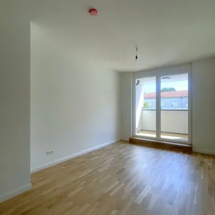 Provisionsfrei! Wohnung mit Loggia, 3 Zimmer, zentrale Lage, Tiefgaragenstellplatz - Bild 2