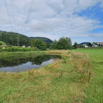 Schönes, ebenes Grundstück zur Freizeitgestaltung mit großem Teich,      ca. 13.600 m² in Völkermarkt - Bild 2