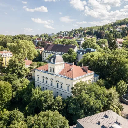 Herrschaftliche Villa mit Parkanlage zur alleinigen Nutzung für Ihr Projekt! Bis zu 1.650m² Nutzfläche | 3.200m² Grundstück | 11 Autoabstellplätze - Bild 2