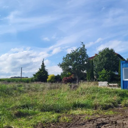 Baugrundstück ohne Bauzwang Mitterndorf Schärding - Bild 2