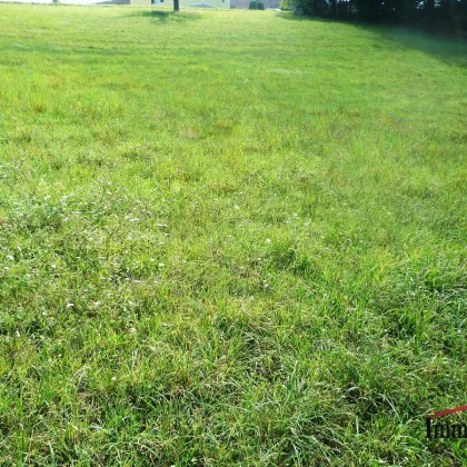 RUHELAGE - Großes, sonniges Grundstück mit Blick auf den Schöckel! - Bild 3