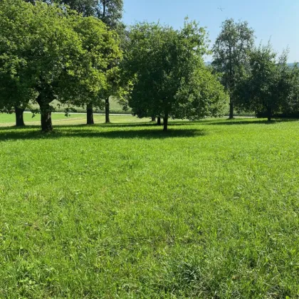 987 m² Bauland mit Widmung Dorfgebiet in Engerwitzdorf/Edtsdorf ohne Bauzwang - Bild 2