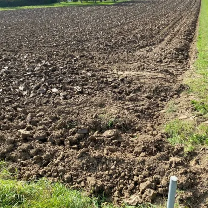 1.004 m² Bauland mit Widmung Dorfgebiet in Engerwitzdorf/Edtsdorf ohne Bauzwang - Bild 2