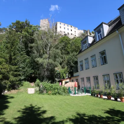 Parifiziertes Zinshaus mit großem Gemeinschaftsgarten und kleinem Waldanteil im Helenental - Bild 3