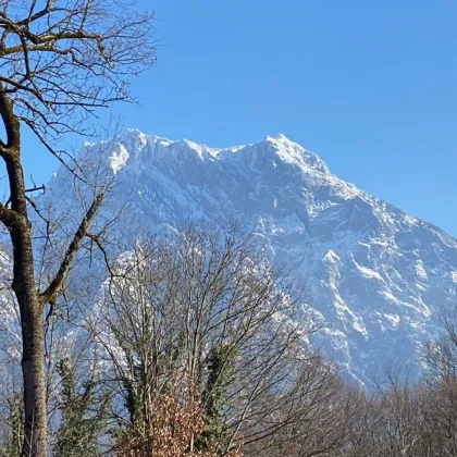 Prachtvolles Grundstück mit renovierungsbedürftiger Villa - direkter Blick auf den Traunstein - Bild 2