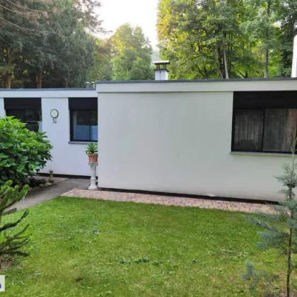 Bungalow von Stararchitekt Glück im Schlosspark Seebenstein - Bild 3