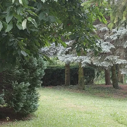 Wohnen ínmitten der Natur in Wolfsbergen, Gemeinde Hagenbrunn - Bild 2