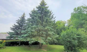 Wohnen ínmitten der Natur in Wolfsbergen, Gemeinde Hagenbrunn