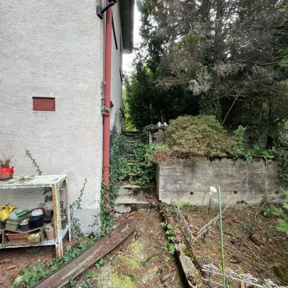 Baugrund für Einfamilienhaus -Pötzleinsdorf! - Bild 3