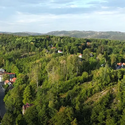 HISTORISCHE JUGENDSTILVILLA im HARZ / NIEDERSACHSEN - Bild 3