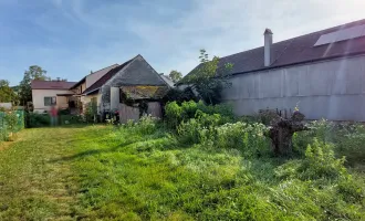 Saniertes Wohnhaus im Blaufränkischland