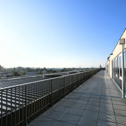 Erstbezug! Modernes Bürohaus in Wiener Neudorf - Bild 3