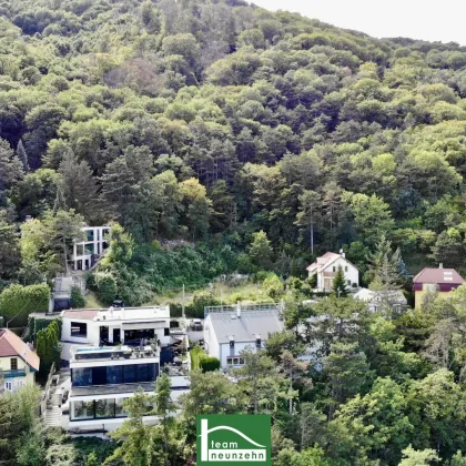 Gartenwohnung auf 2 Etagen, sehr privat & ruhig gelegen. Endlich wieder normale Preise. amBergblick19 , Top 1-2 - Bild 3