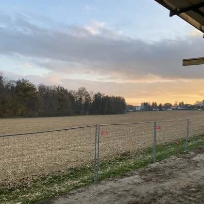 Neubauprojekt in Traumlage von St. Marien - Haus 2 - Bild 3