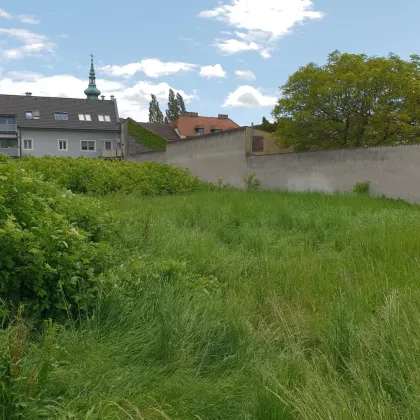 Tolles Baugrundstück in Traiskirchen - Bild 2