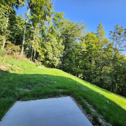 Erstbezug Doppelhaushälfte mit Garten und Panoramaterrasse Top C-W2 - Bild 3