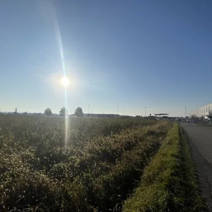 Gewerbegrundstück in sehr frequentierter Lage nahe der Autobahn in Seiersberg - Bild 3