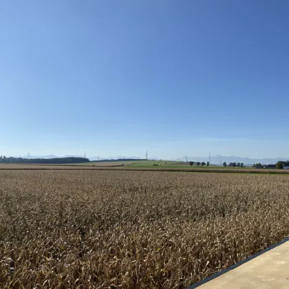 Priel und Traunsteinblick- Eigenheim mit  Dachterrasse und Begrünung, Estrich bereits fertig - Bild 2