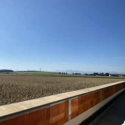 Priel und Traunsteinblick- Eigenheim mit  Dachterrasse und Begrünung, Estrich bereits fertig - Bild 3