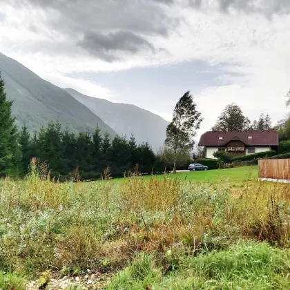 Sonniges, ebenes Grundstück in Ebensee - Bild 2