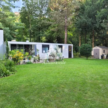 Architektenbungalow in einem Park mit viel Grün und altem Baumbestand - Bild 3