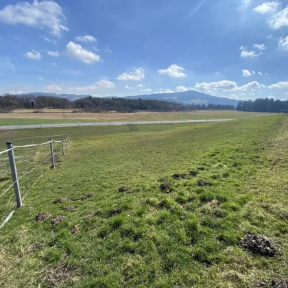 sonniges Baugrundstück mit Seeblick in Seeham am Obertrumer- und Grabensee! - Bild 3