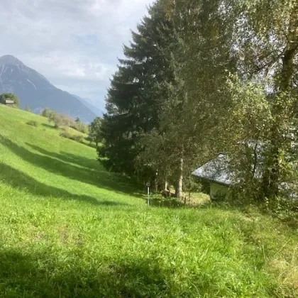 Landwirtschaftliche Grundstücke mit zwei Bauplätzen - ohne Altbestand - Bild 2