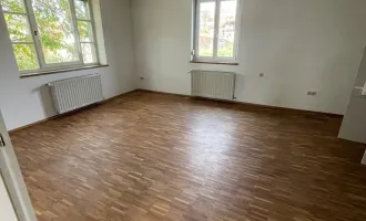 Traumwohnung in Hohenbrugg an der Raab mit Terrasse und Grünblick