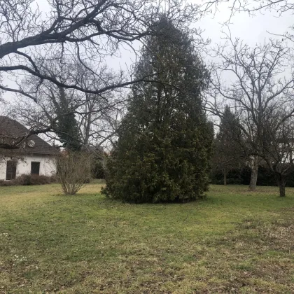 Perfekt geeignet für ANLEGER- & EIGENNUTZER in Graz-Wetzelsdorf! Exklusive 67² große Wohnung mit idyllischem Eigengarten - PROVISIONSFREI! - Bild 2