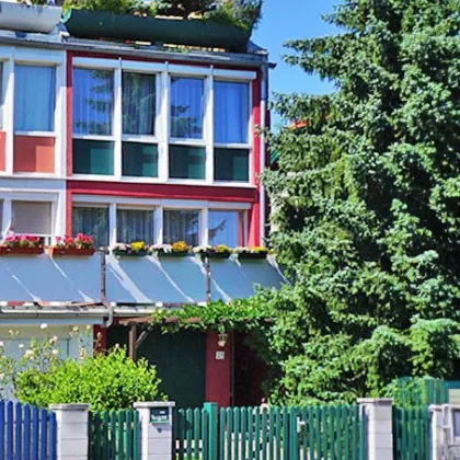 Reihenhaus mit Dachterrasse im Penzinger Cottageviertel - Bild 3