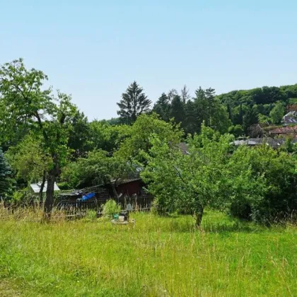 Südlich ausgerichteter Baugrund in Grünruhelage im äußersten Westen - Bild 2