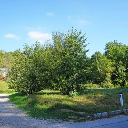 Baugrundstück auf Südhang in traumhafter Grünruhelage in der Kaiserbrunn - Bild 2