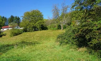 Baugrundstück auf Südhang in traumhafter Grünruhelage in der Kaiserbrunn