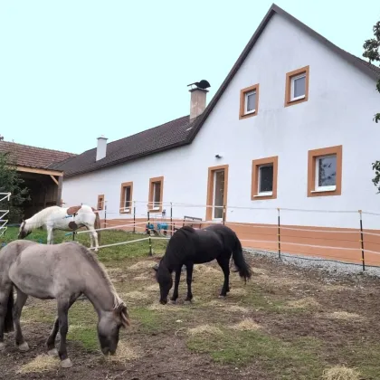 Exklusives, hochwassersicheres Wohnhaus mit 3 Hektar Grund und Stallungen - Bild 3