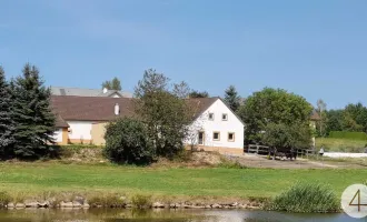 Exklusives, hochwassersicheres Wohnhaus mit 3 Hektar Grund und Stallungen