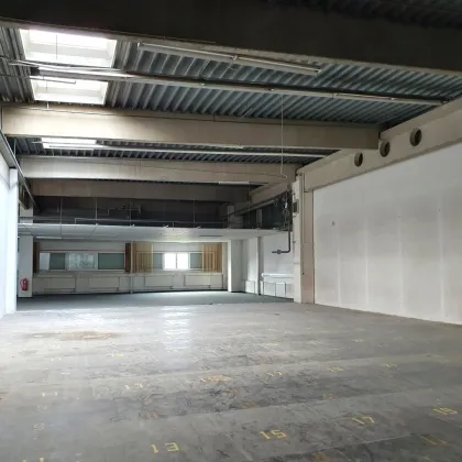 1.250m² Büro/Lager | im ersten Stock | SCS - Bild 3