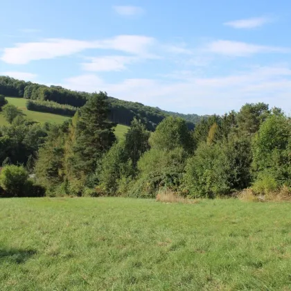 Groß – Mittel – Klein - Für Jeden richtig fein! Traumhafter Südhang mit Weit- und Grünblick! - Bild 2