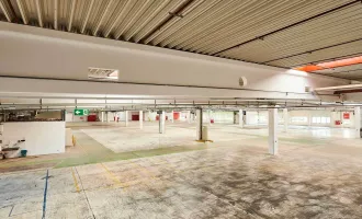 ICW -- ab 500m² HALLENFLÄCHE WIENER NEUSTADT  - BEI A2